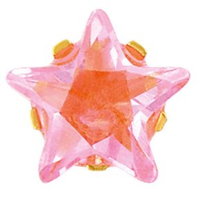 S451 Studex fülbevaló